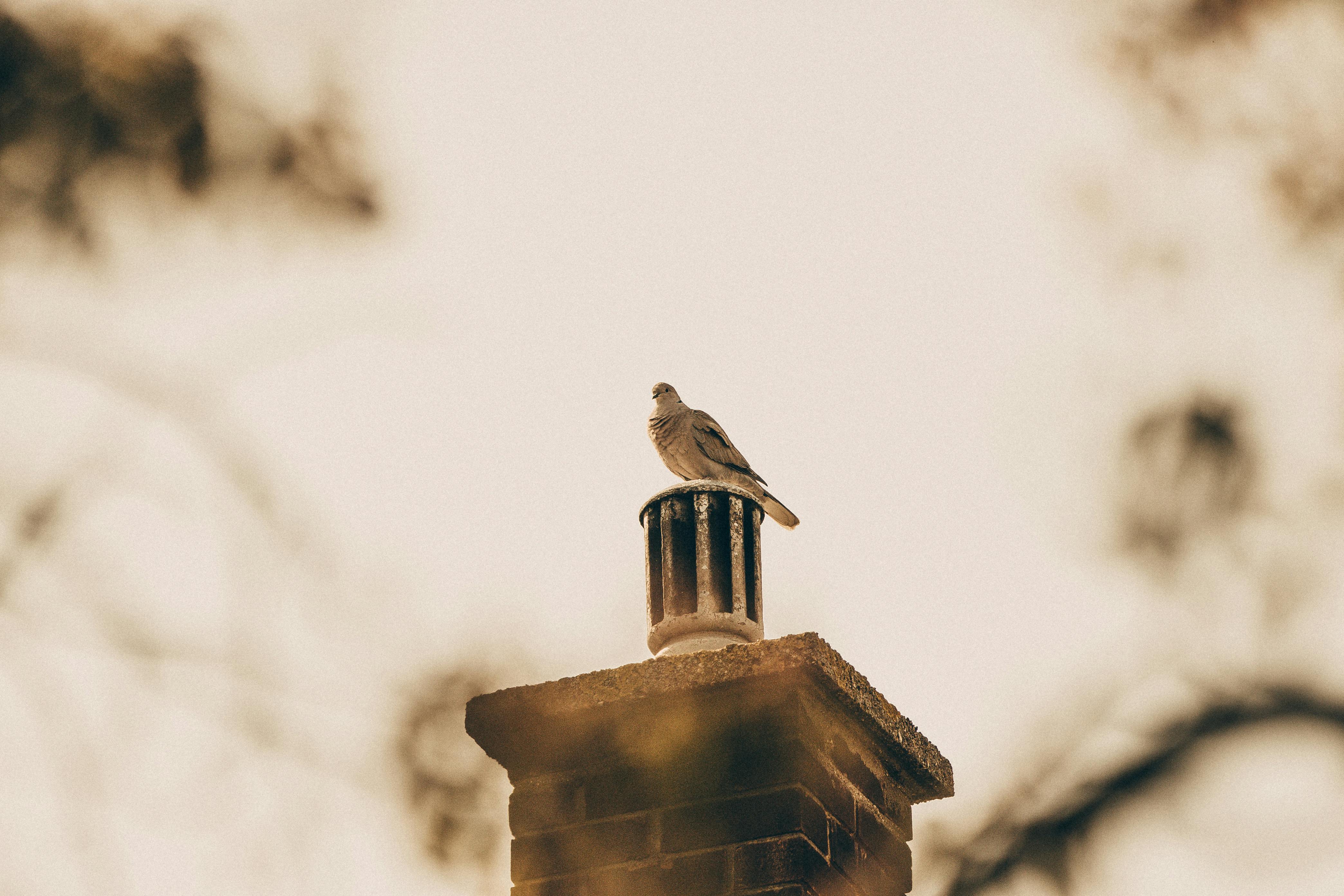 Professional Chimney Cap Installation Services in San Juan Capistrano, CA Expert Chimney Cap Installation in San Juan Capistrano, California